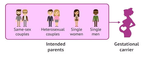 gestational carrier